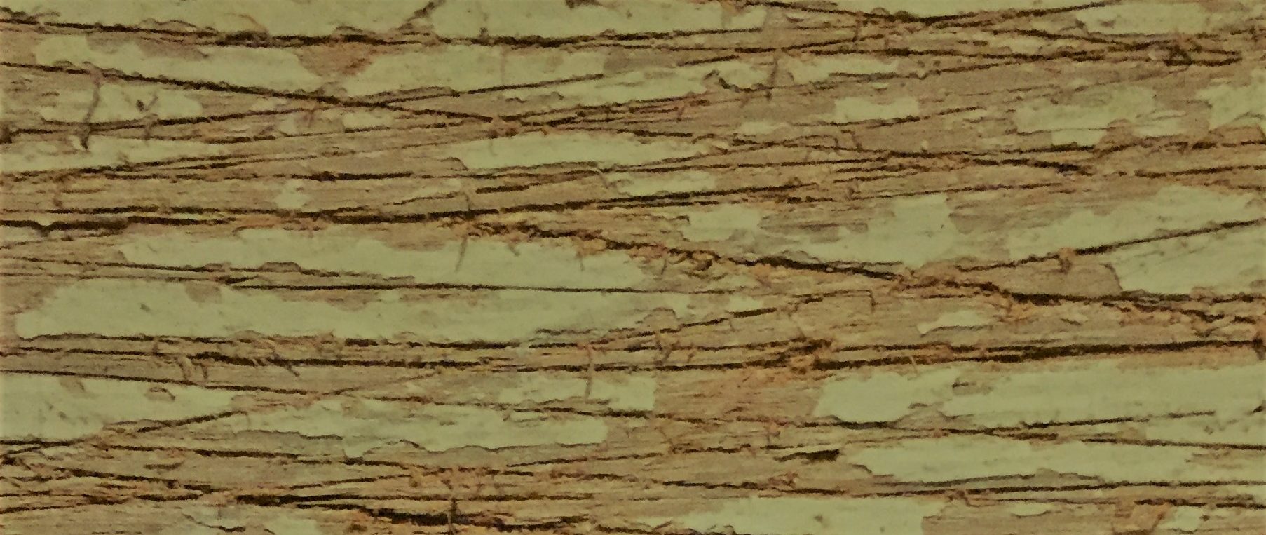 A Closer Look at Dangerous Crossings