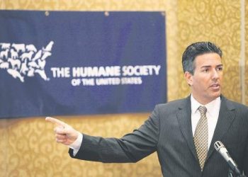 Confronting Male Privilege and Sexism in the Movement