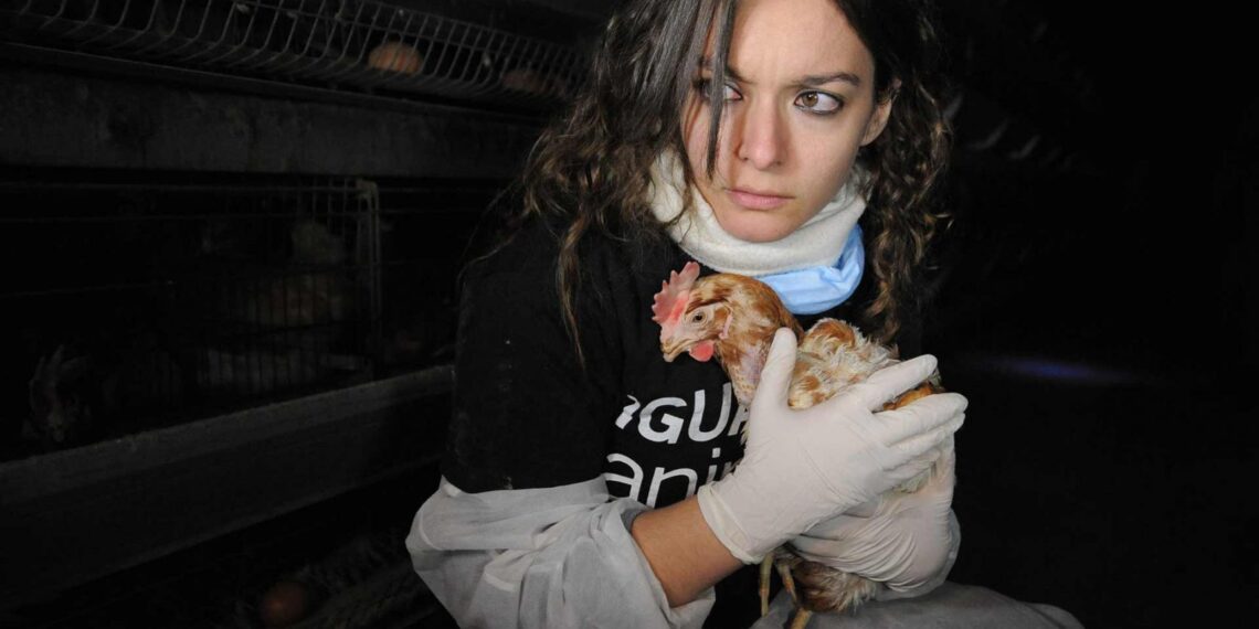 The Kemmerer2017 Survey: Harassment and Discrimination in the Anymal Activist Community